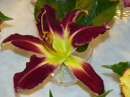 Foto: Dr. Peter Müller